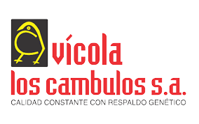 Avícola los cambulos S.A.
